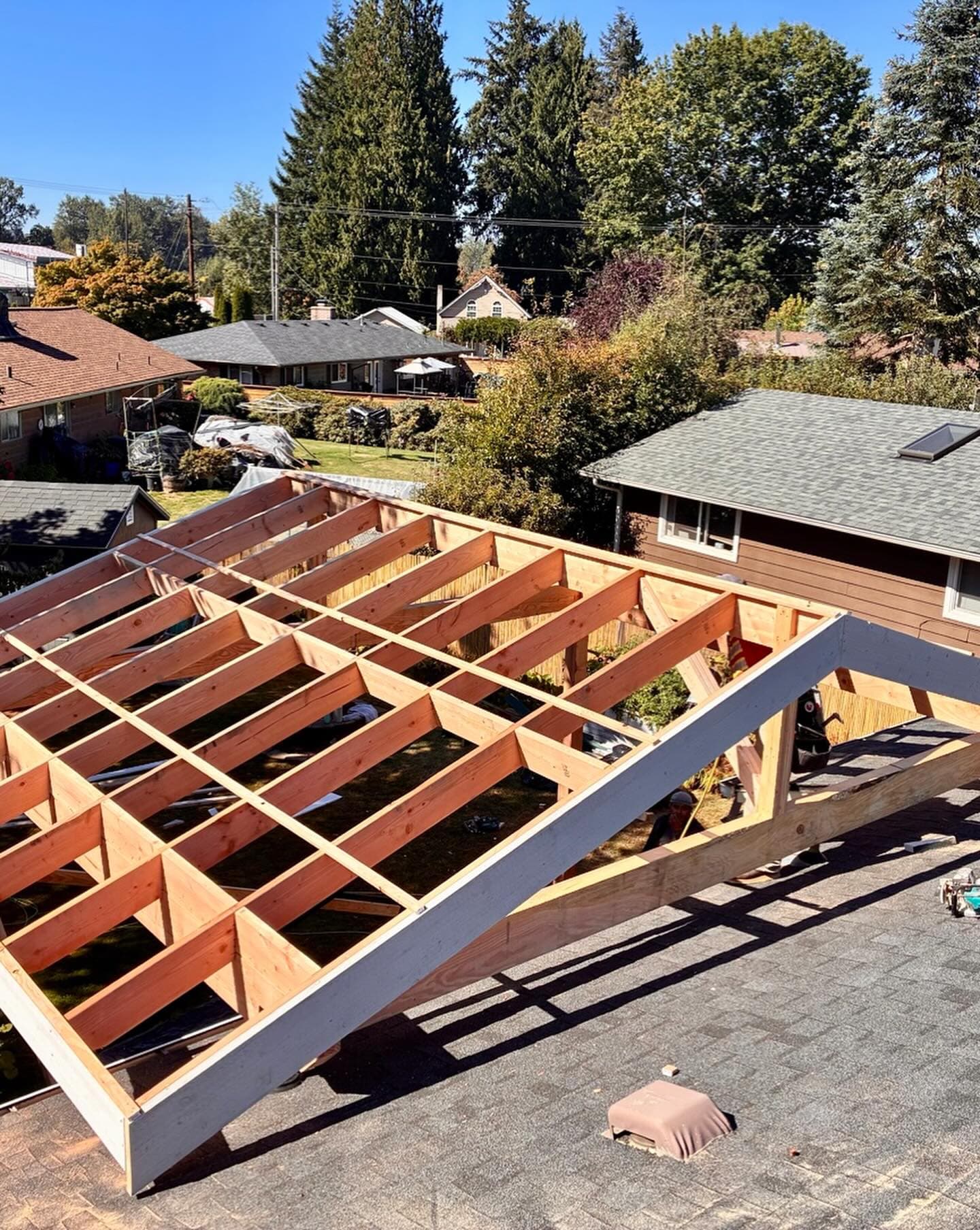New roof framing in honey Douglas-fir rafters under a clear blue sky, Pacific Northwest conifers and suburban roofs behind.